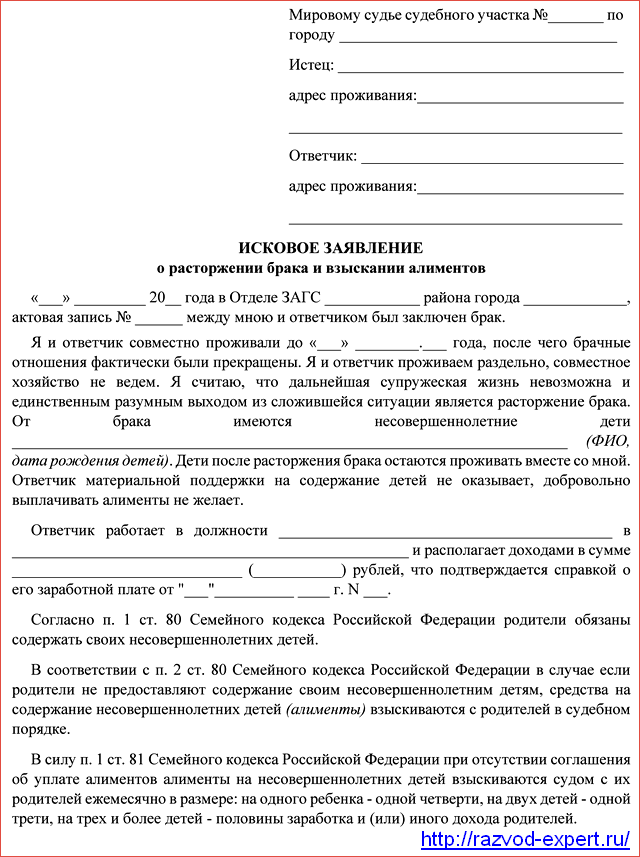 Заявление на развод через суд с детьми образец 2023 ульяновск